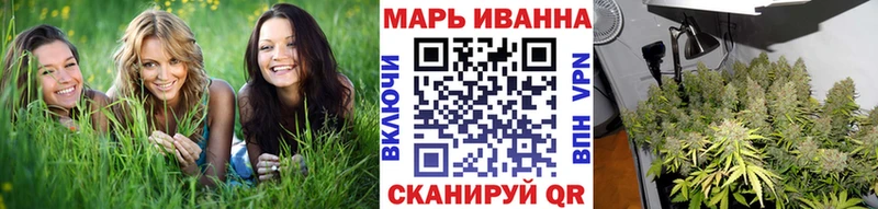 Купить  Лукоянов  Бошки Шишки планчик 